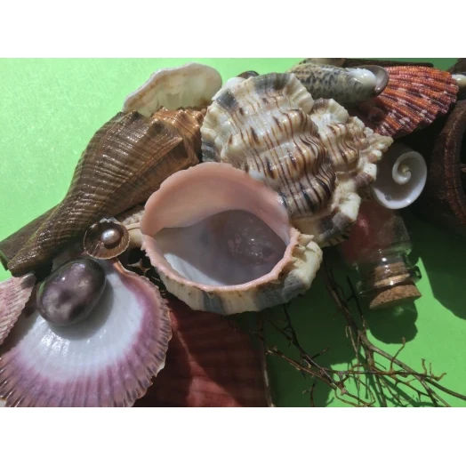 Sea Picture / Frame, Brown and Pink, Round # 1
