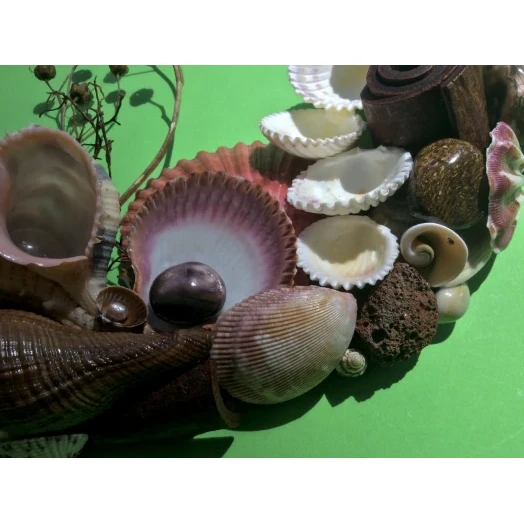 Sea Picture / Frame, Brown and Pink, Round # 1