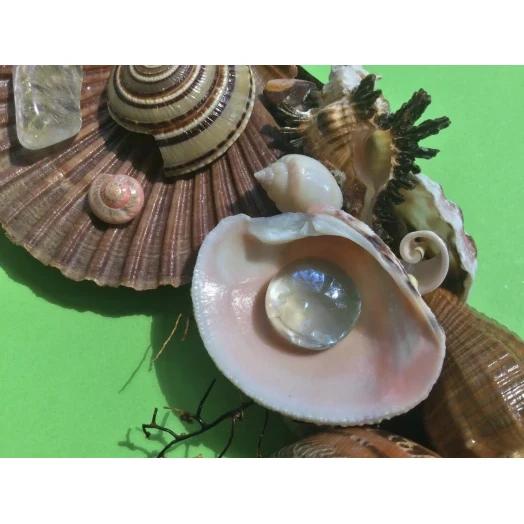Sea Picture / Frame, Brown and Pink, Round # 1