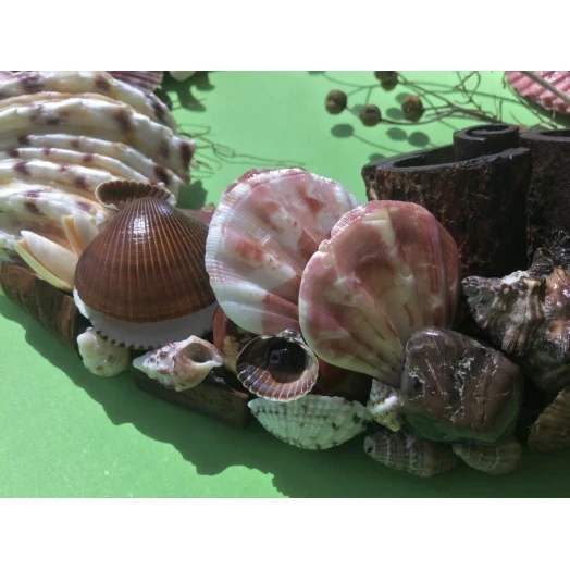 Sea Picture / Frame, Brown and Pink, Round # 1