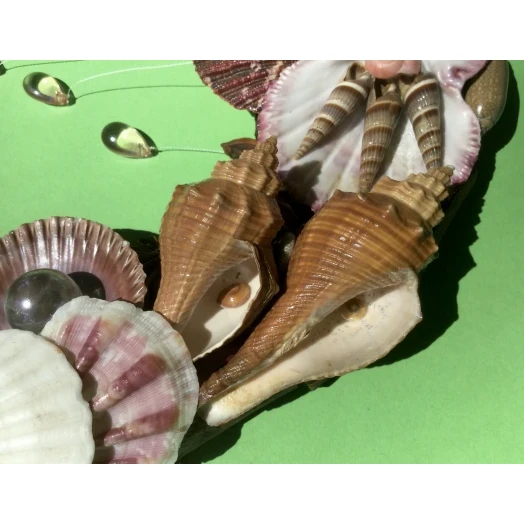 Sea Picture / Frame, Brown and Pink, Oval # 9