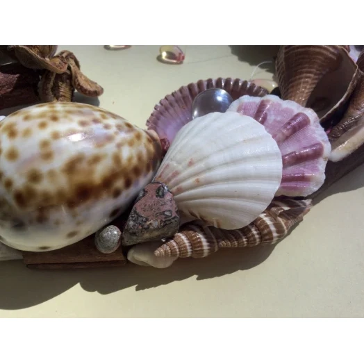Sea Picture / Frame, Brown and Pink, Oval # 9