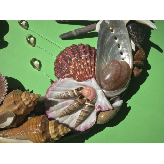 Sea Picture / Frame, Brown and Pink, Oval # 9