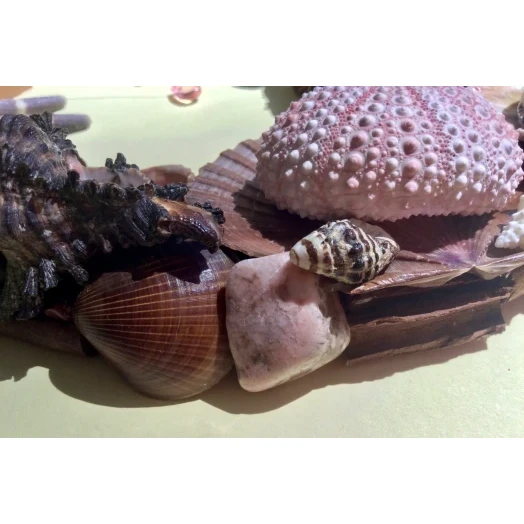Sea Picture / Frame, Brown and Pink, Oval # 9