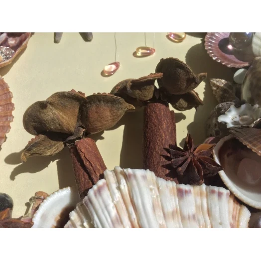 Sea Picture / Frame, Brown and Pink, Oval # 9