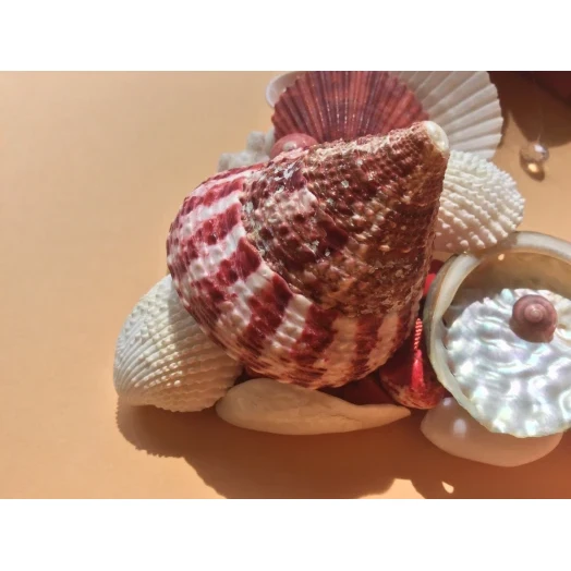 Sea Picture / Frame, Red and White Triangle # 3