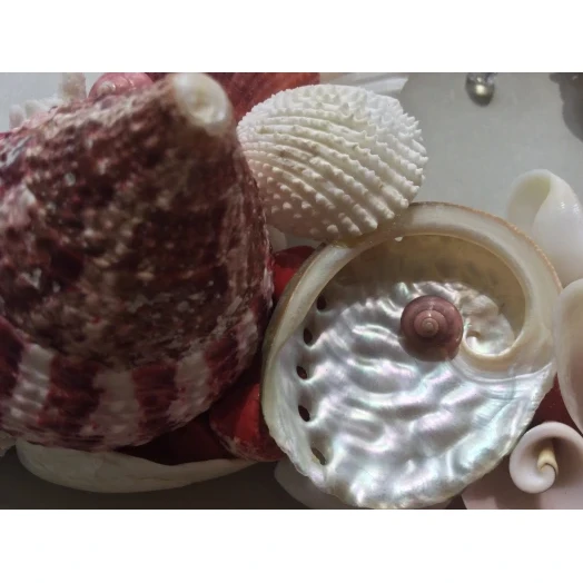 Sea Picture / Frame, Red and White Triangle # 3