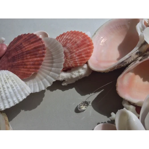 Sea Picture / Frame, Red and White Triangle # 3