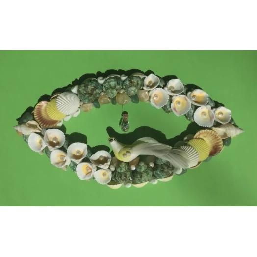 Sea Picture / Frame, White, Green & Yellow Eye # 10 Sea Picture / Frame, White, Green & Yellow Eye # 10