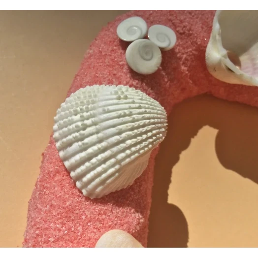 Sea Picture / Frame, Pink Sandy Heart # 23