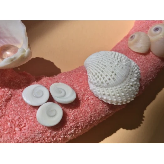Sea Picture / Frame, Pink Sandy Heart # 23