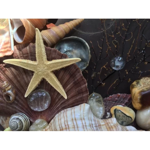 Sea Picture / Frame, Brown and Beige, Rectangular # 3 Sea Picture / Frame, Brown and Beige, Rectangular # 3