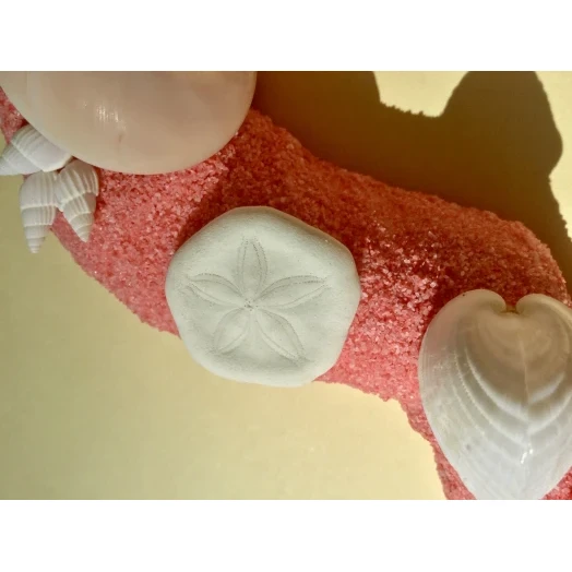 Sea Picture / Frame, Pink Sandy Heart # 23