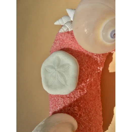 Sea Picture / Frame, Pink Sandy Heart # 23