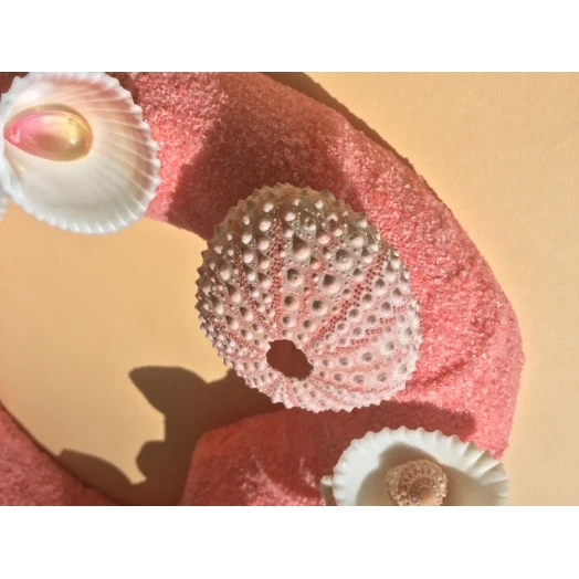 Sea Picture / Frame, Pink Sandy Heart # 23
