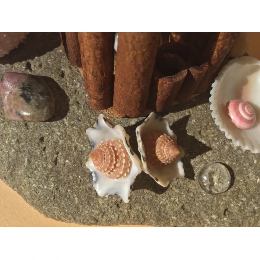 Sea Landscape / Coral Tree Miniature on the Stone # 8 Sea Landscape / Coral Tree Miniature on the Stone # 8