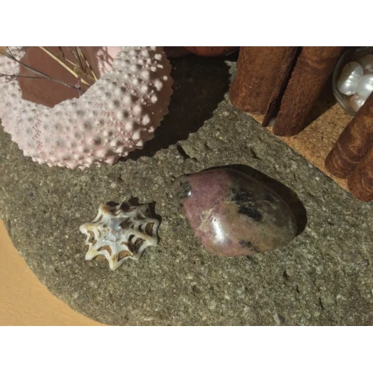 Sea Landscape / Coral Tree Miniature on the Stone # 8 Sea Landscape / Coral Tree Miniature on the Stone # 8
