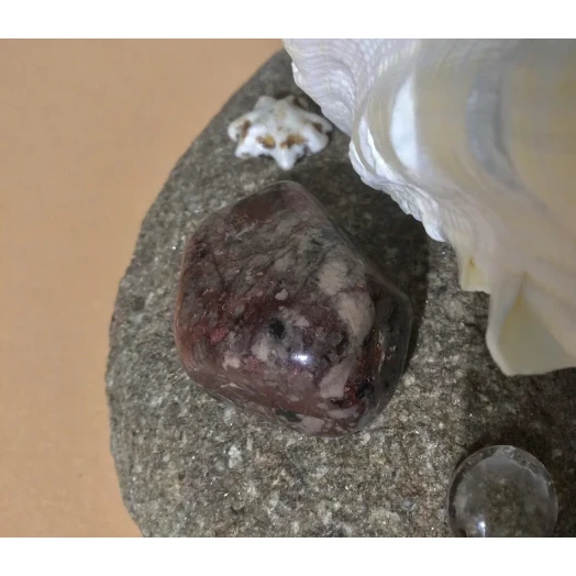 Sea Landscape / Coral Tree Miniature on the Stone # 8 Sea Landscape / Coral Tree Miniature on the Stone # 8