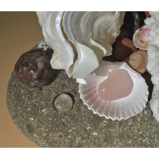 Sea Landscape / Coral Tree Miniature on the Stone # 8 Sea Landscape / Coral Tree Miniature on the Stone # 8