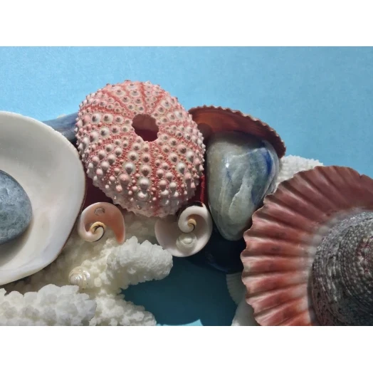 Sea Picture / Frame, Blue, Red & White, Round # 3