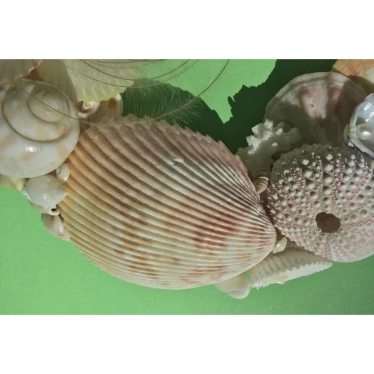 Морская картина / рамка розовая, желтая, персиковая, круглая # 6