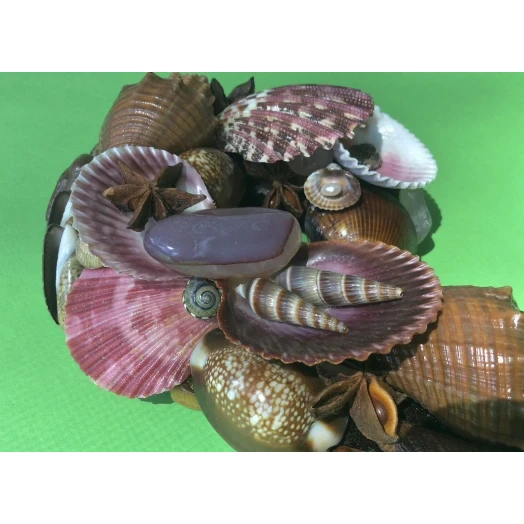 Sea Picture / Frame, Brown and Pink, Serpentine # 5