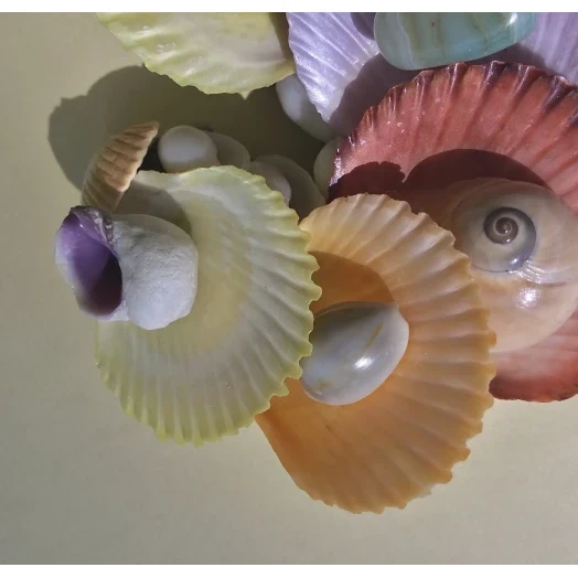 Sea Picture / Frame, Colorful, Serpentine # 21 Sea Picture / Frame, Colorful, Serpentine # 21