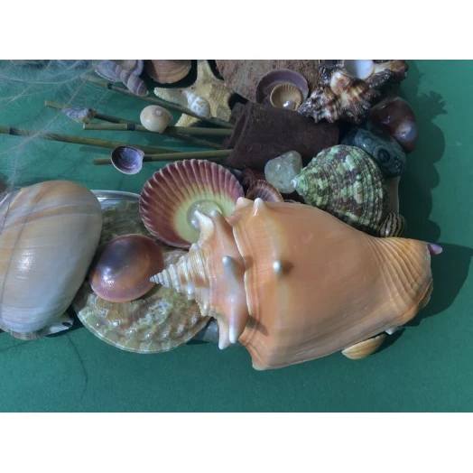 Sea Picture / Frame, Brown and Green, Rectangular # 15 Sea Picture / Frame, Brown and Green, Rectangular # 15