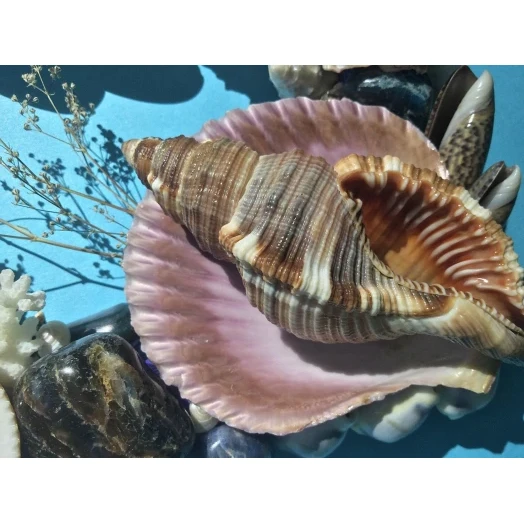 Sea Picture / Frame, Brown, Blue and Purple, Rectangular # 9 Sea Picture / Frame, Brown, Blue and Purple, Rectangular # 9
