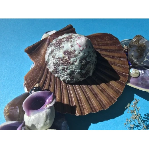 Sea Picture / Frame, Brown, Blue and Purple, Rectangular # 9 Sea Picture / Frame, Brown, Blue and Purple, Rectangular # 9