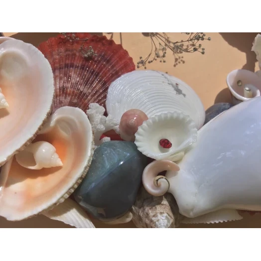 Sea Picture / Frame, Red, Blue and White, Oval # 3