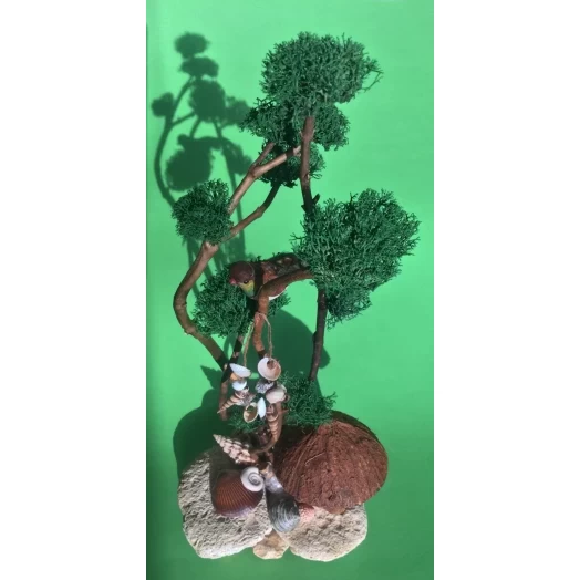 Sea Landscape / Tree Miniature on the Stones # 2