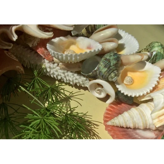 Sea Picture / Frame, Green, Red, Yellow, Orange / Colorful, Square # 5