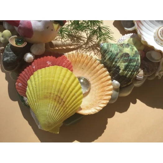 Sea Picture / Frame, Green, Red, Yellow, Orange / Colorful, Square # 5