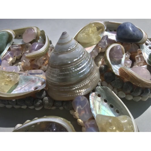 Sea Picture / Frame, Colorful and Pearly Spiral # 13 Sea Picture / Frame, Colorful and Pearly Spiral # 13