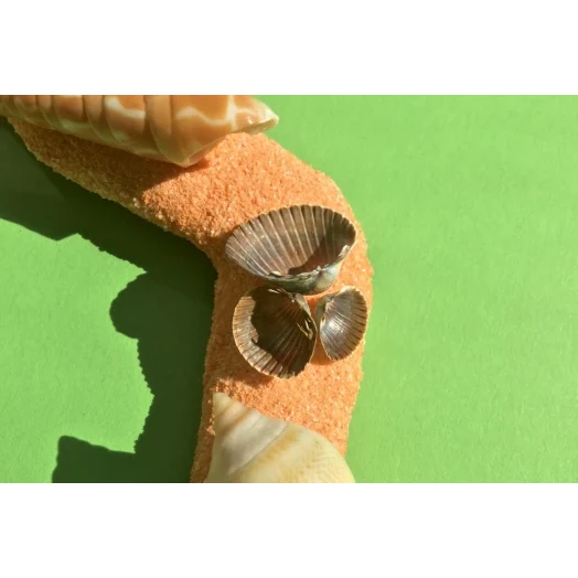 Sea Picture / Frame, Orange, Sandy, Wavy # 25 Sea Picture / Frame, Orange, Sandy, Wavy # 25