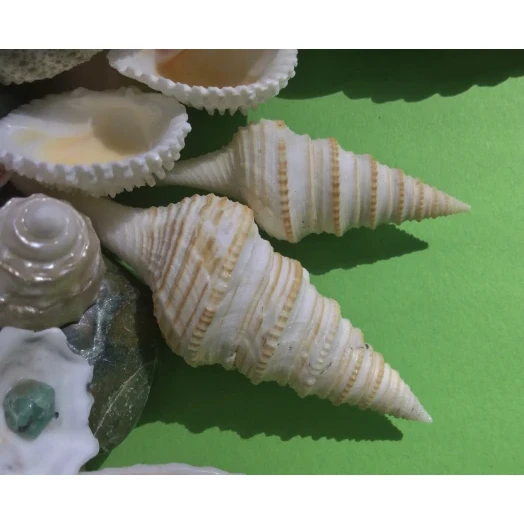 Sea Picture / Frame, Colorful, Round # 13
