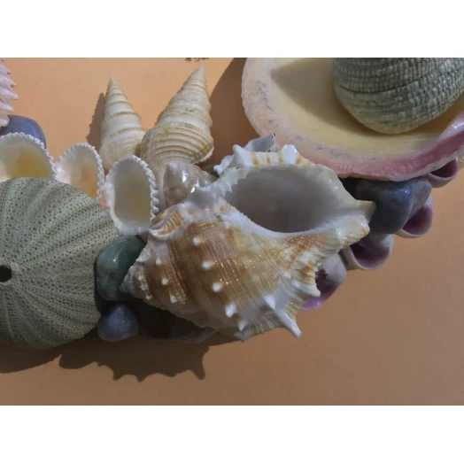 Sea Picture / Frame, Colorful, Round # 13