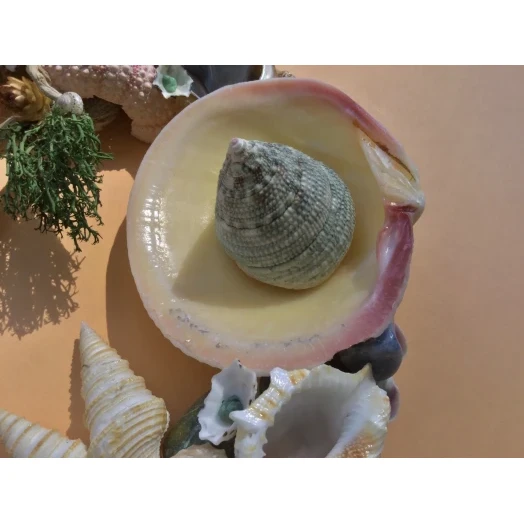 Sea Picture / Frame, Colorful, Round # 13