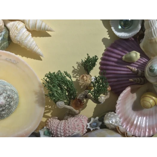 Sea Picture / Frame, Colorful, Round # 13