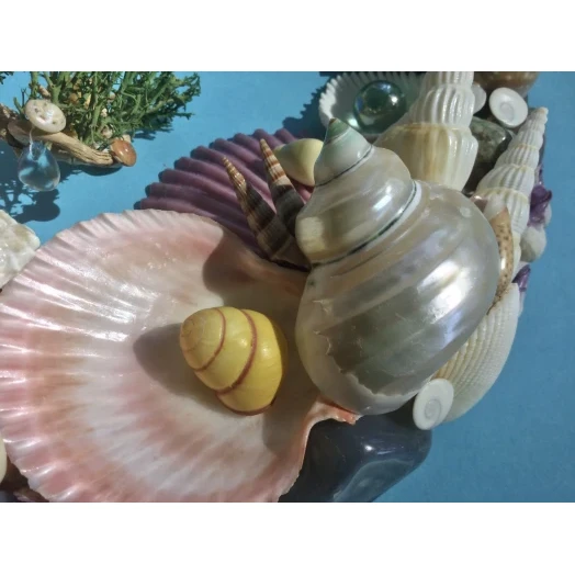 Sea Picture / Frame, Colorful, Round # 13
