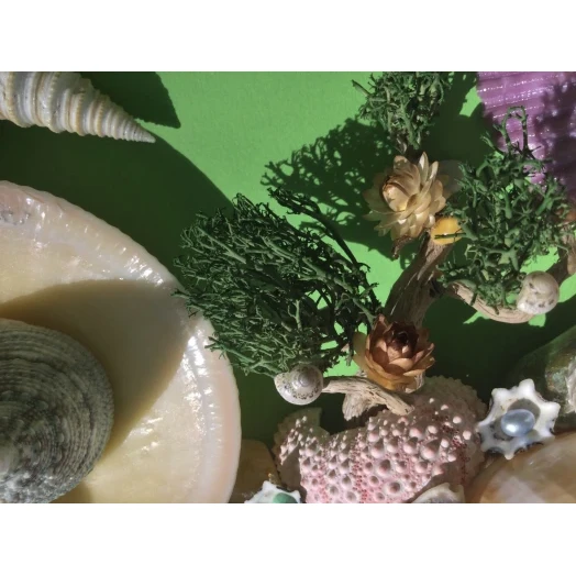 Sea Picture / Frame, Colorful, Round # 13