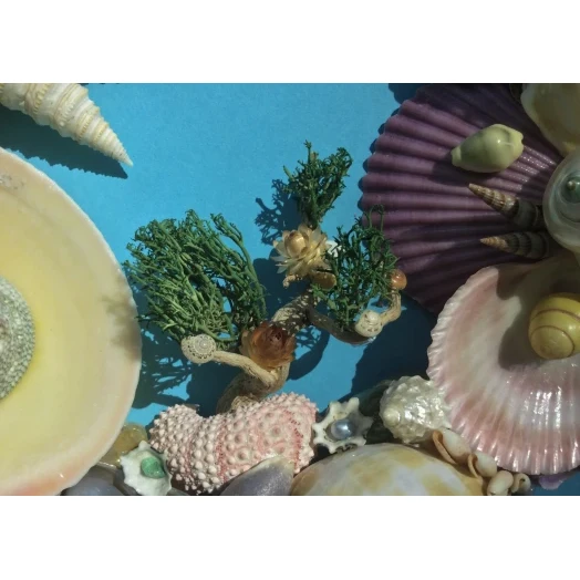 Sea Picture / Frame, Colorful, Round # 13