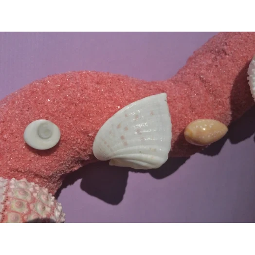 Sea Picture / Frame, Pink-Red Sandy Heart # 22 Sea Picture / Frame, Pink-Red Sandy Heart # 22