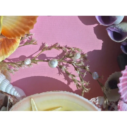 Sea Picture / Frame, Colorful, Round # 7