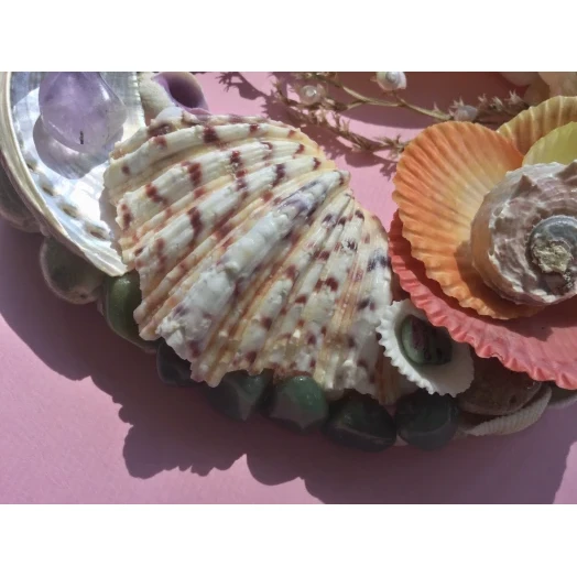 Sea Picture / Frame, Colorful, Round # 7