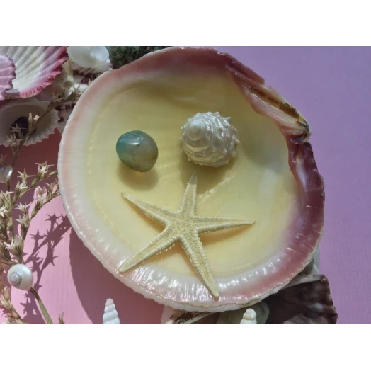Sea Picture / Frame, Colorful, Round # 7