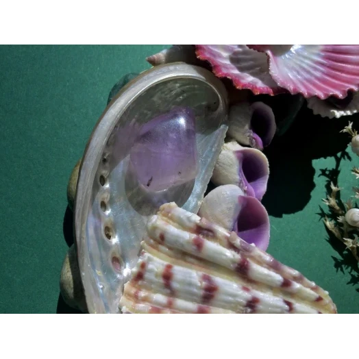 Sea Picture / Frame, Colorful, Round # 7