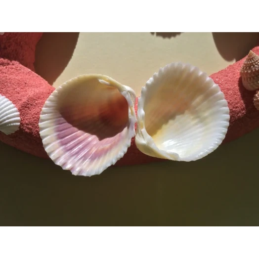 Sea Picture / Frame, Red and Pink Sandy Heart # 32 Sea Picture / Frame, Red and Pink Sandy Heart # 32