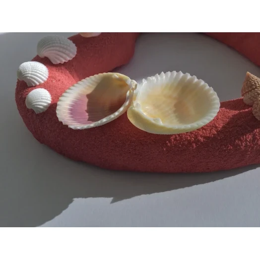 Sea Picture / Frame, Red and Pink Sandy Heart # 32 Sea Picture / Frame, Red and Pink Sandy Heart # 32
